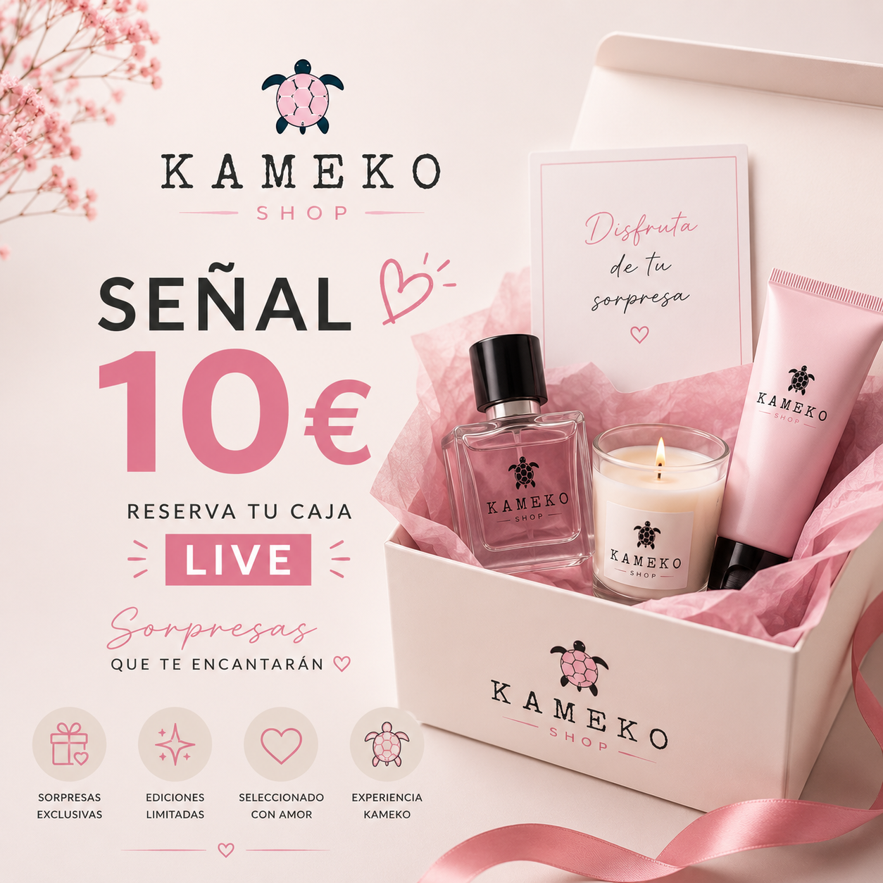 Señal de reserva Kameko – Apertura de caja Directo TikTok (10€)